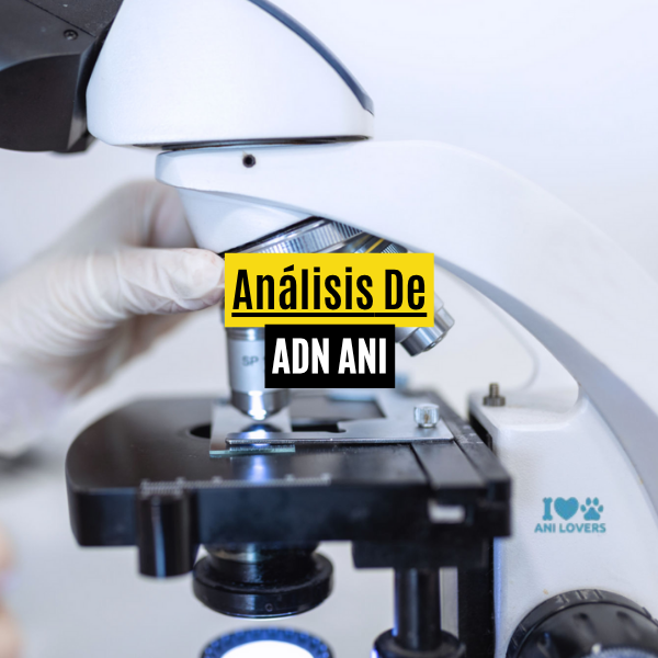 Análisis de ADN ANI