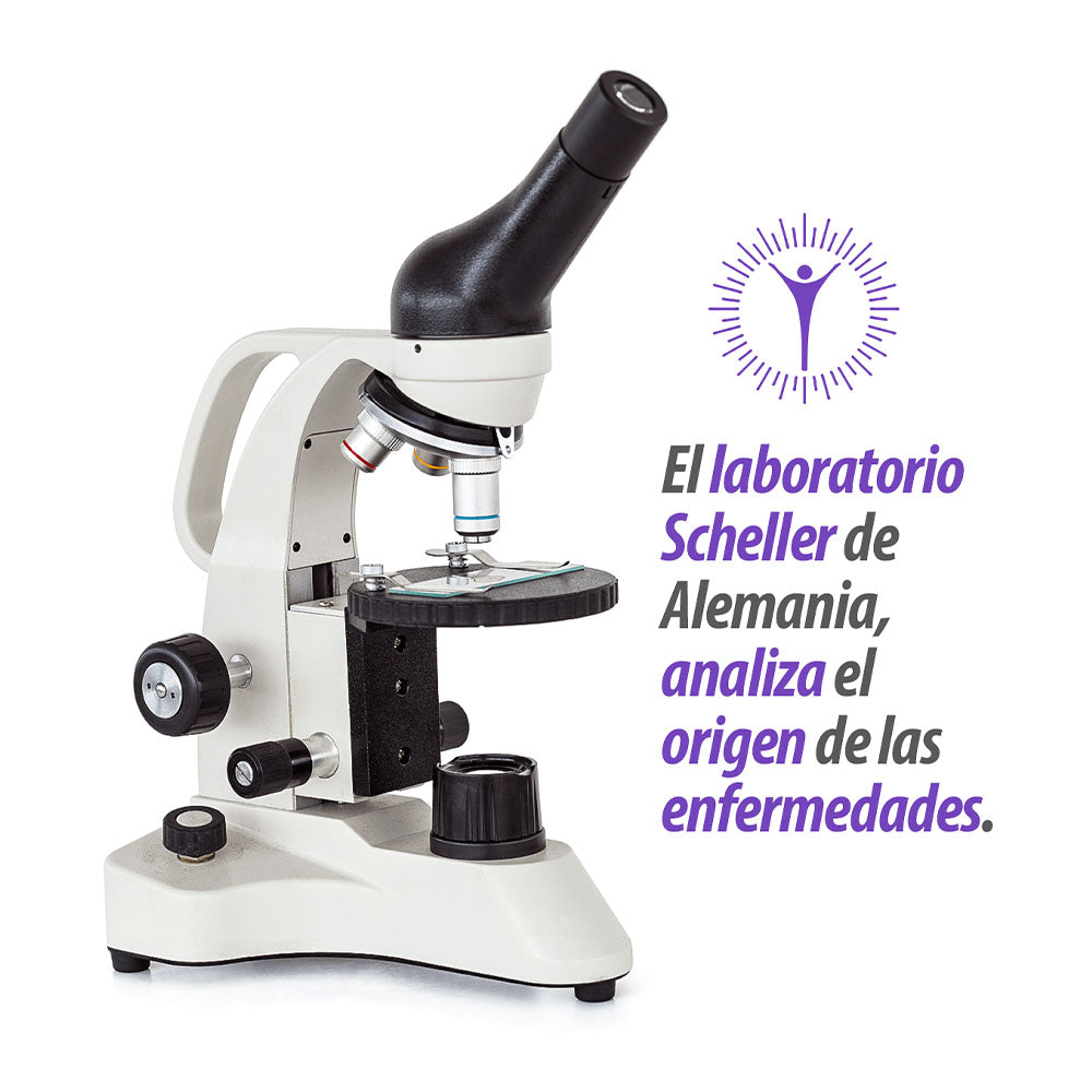 Análisis por parametro